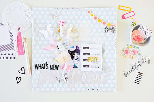 What's New Pollycat Layout | Suse Fish