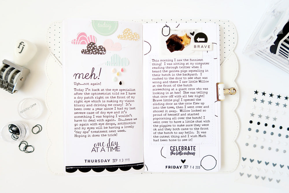 FJ 30 Day Journal Challenge - Day 13 & 14 | Sheree Forcier