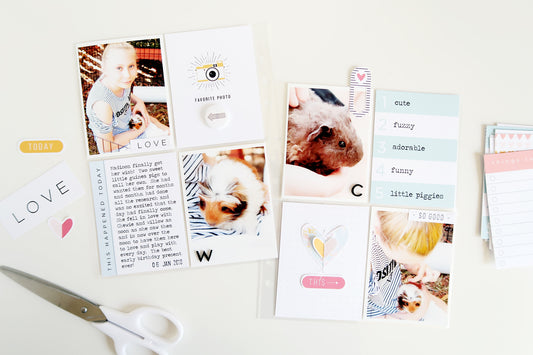 Pocket Pages | Sheree Forcier