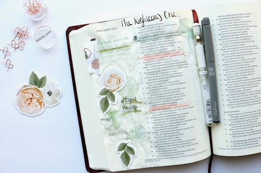 "Making Plans" Bible Journaling | Carol Chastain