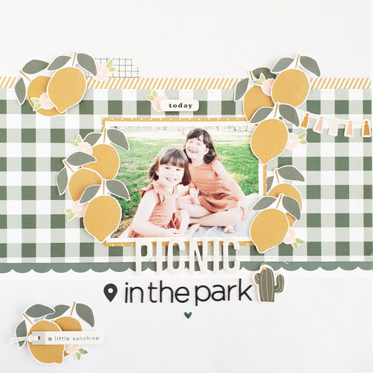 "Picnic In The Park" Scrapbook Layout | Anna Blades