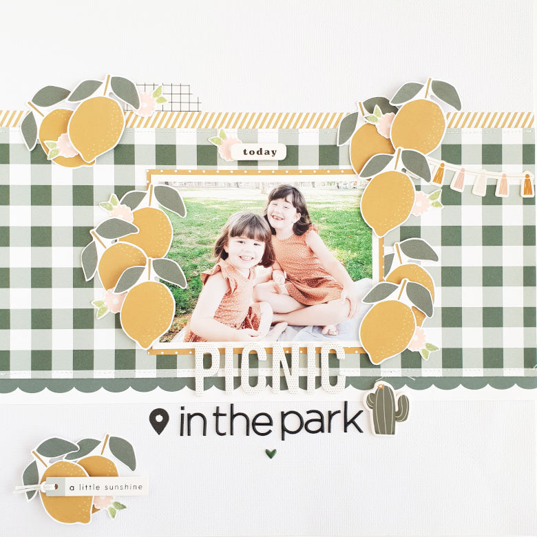"Picnic In The Park" Scrapbook Layout | Anna Blades