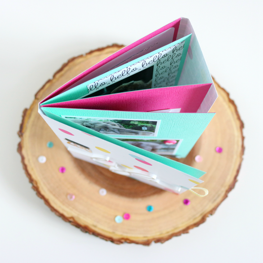 "Zoo Life" Mini Album | Evelyn Wolff